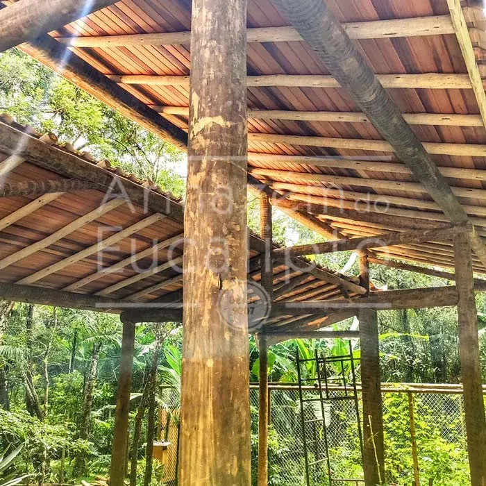 Estruturas de Eucalipto Tratado — foto 3