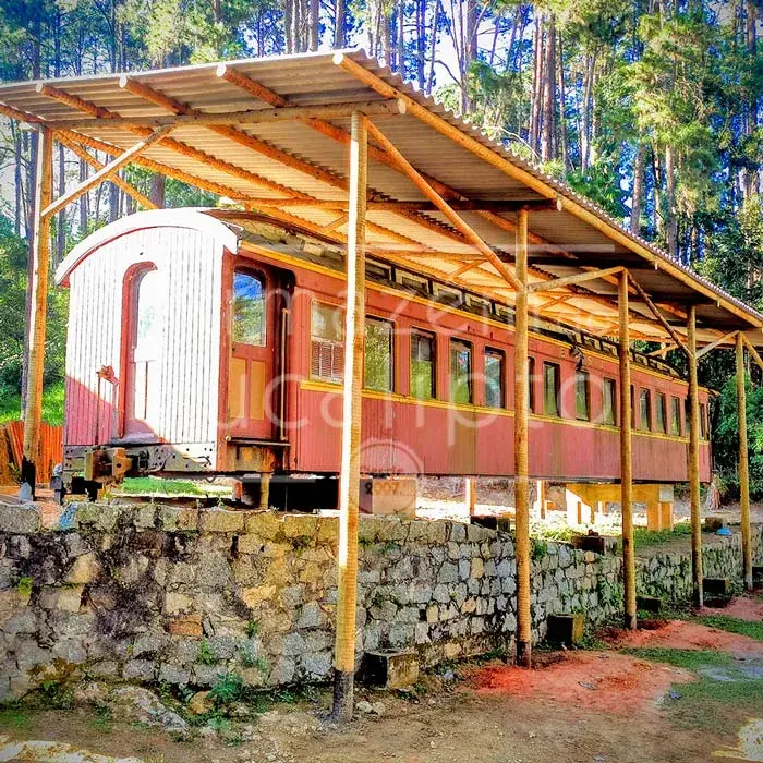 Estruturas de Eucalipto Tratado — foto 4