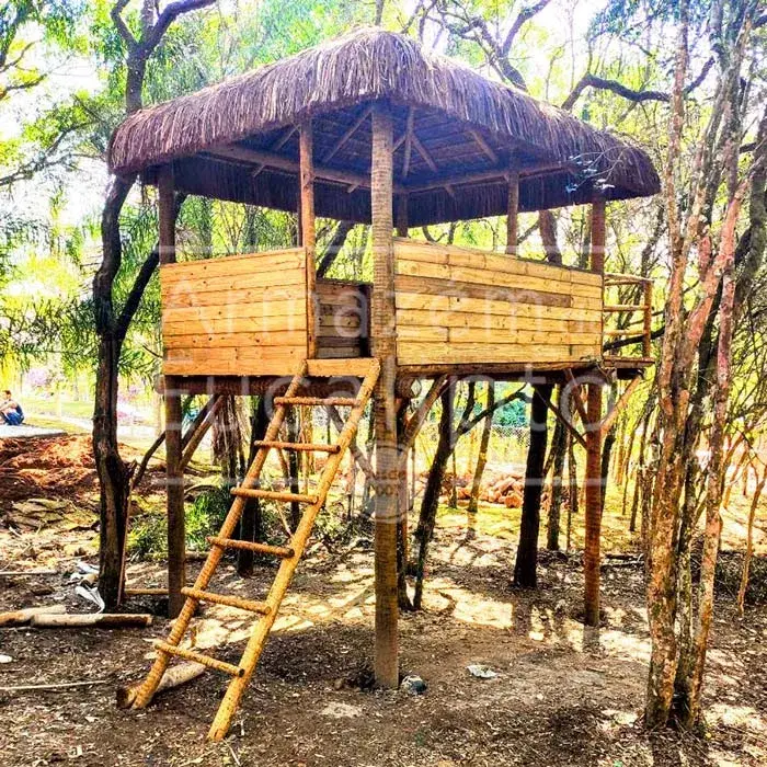 Estruturas de Eucalipto Tratado — foto 16