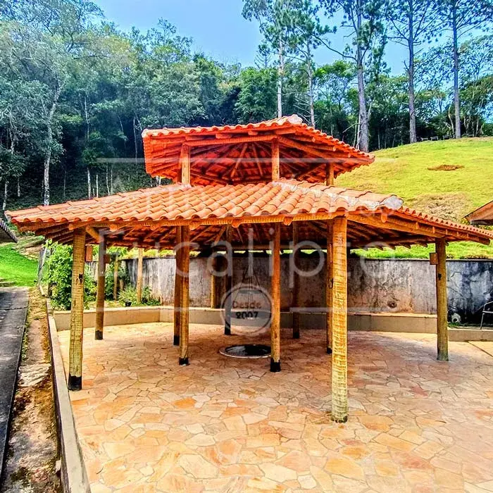 Estruturas de Eucalipto Tratado — foto 24