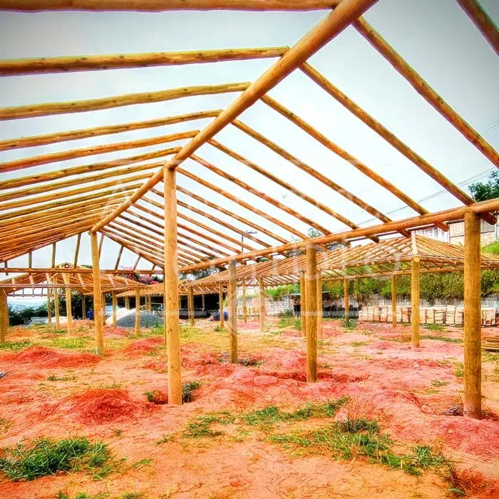 Estruturas de Eucalipto Tratado — foto 29