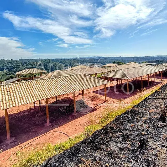 Estruturas de Eucalipto Tratado — foto 31