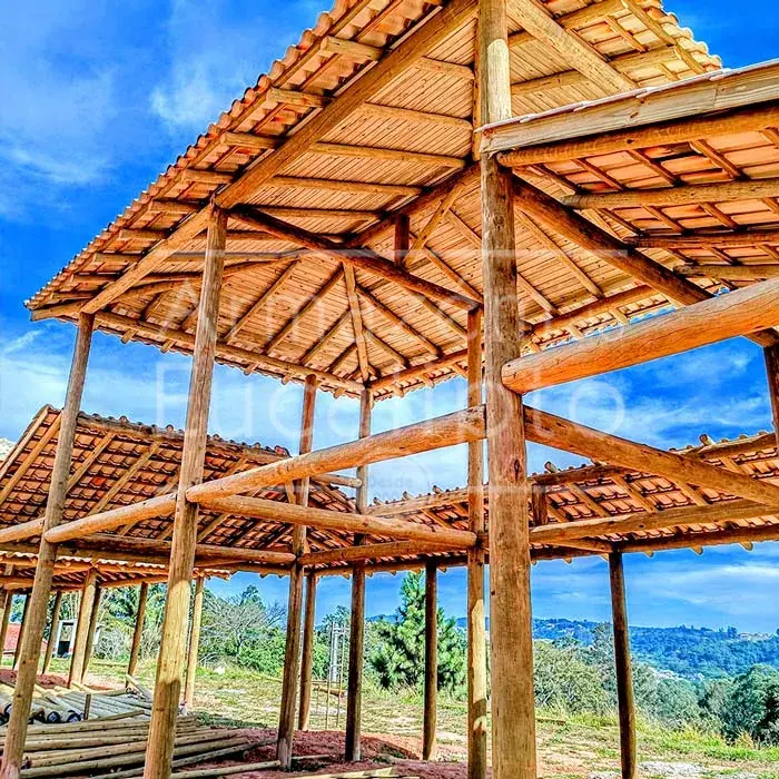 Estruturas de Eucalipto Tratado — foto 33