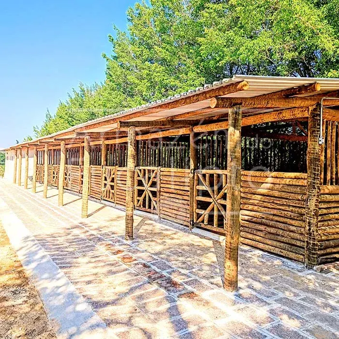 Estruturas de Eucalipto Tratado — foto 38