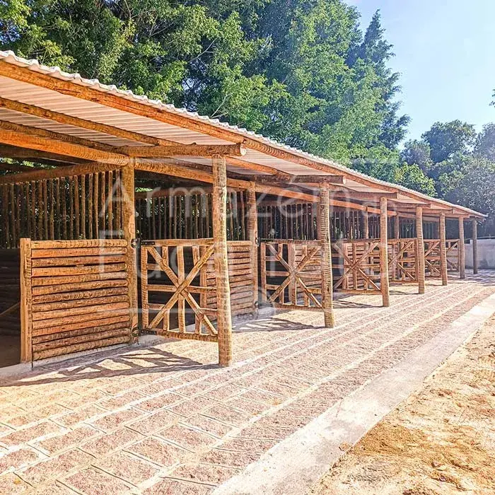 Estruturas de Eucalipto Tratado — foto 39