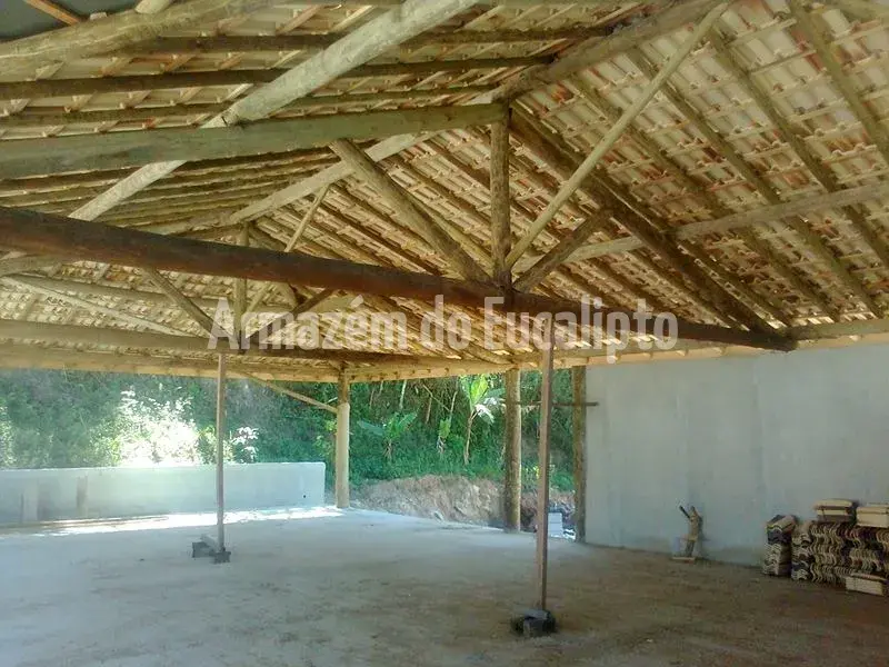 Estruturas de Eucalipto Tratado — foto 57