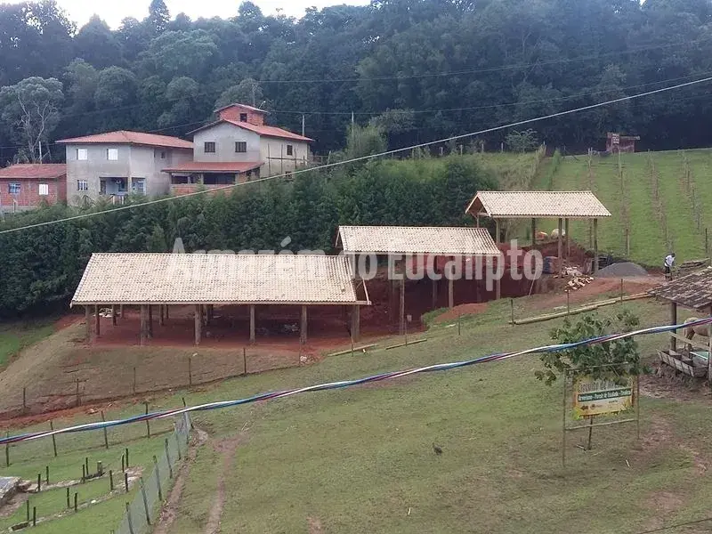 Estruturas de Eucalipto Tratado — foto 75