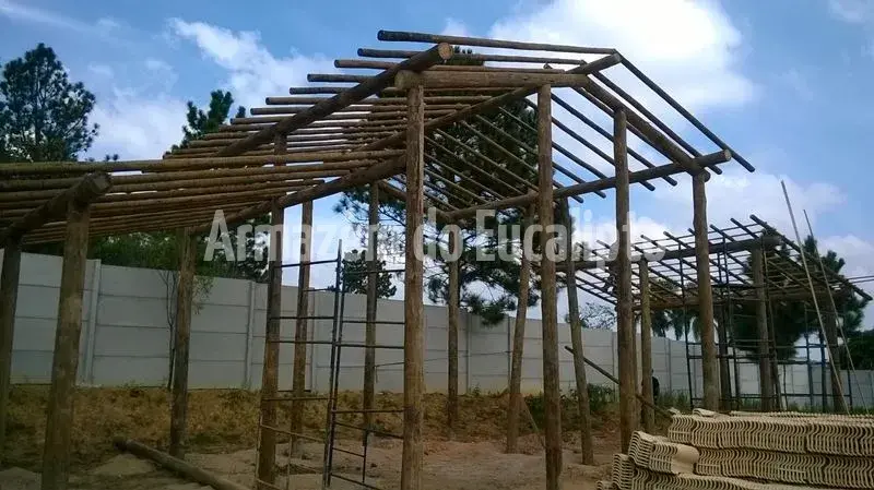 Estruturas de Eucalipto Tratado — foto 79