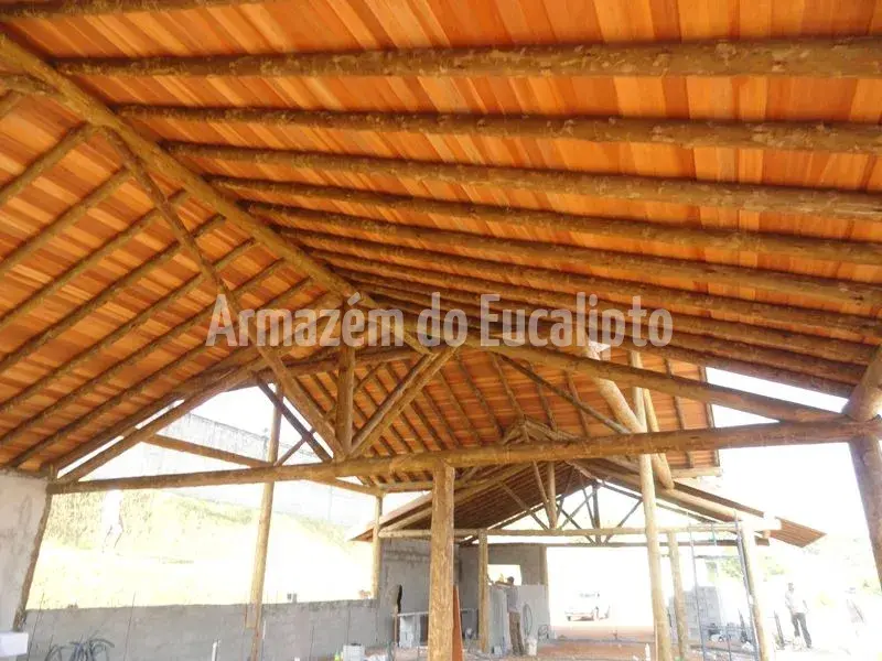 Estruturas de Eucalipto Tratado — foto 81