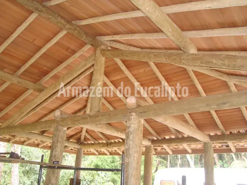 Estruturas de Eucalipto Tratado — foto 91