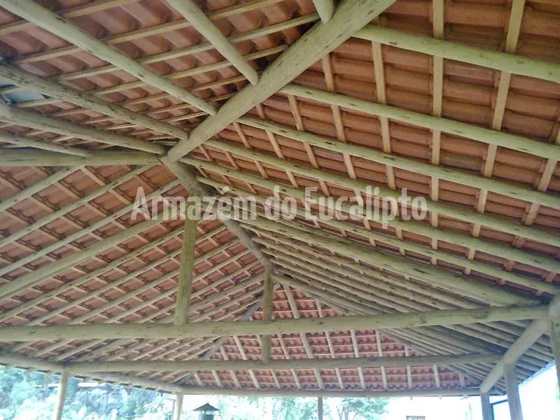 Estruturas de Eucalipto Tratado — foto 97