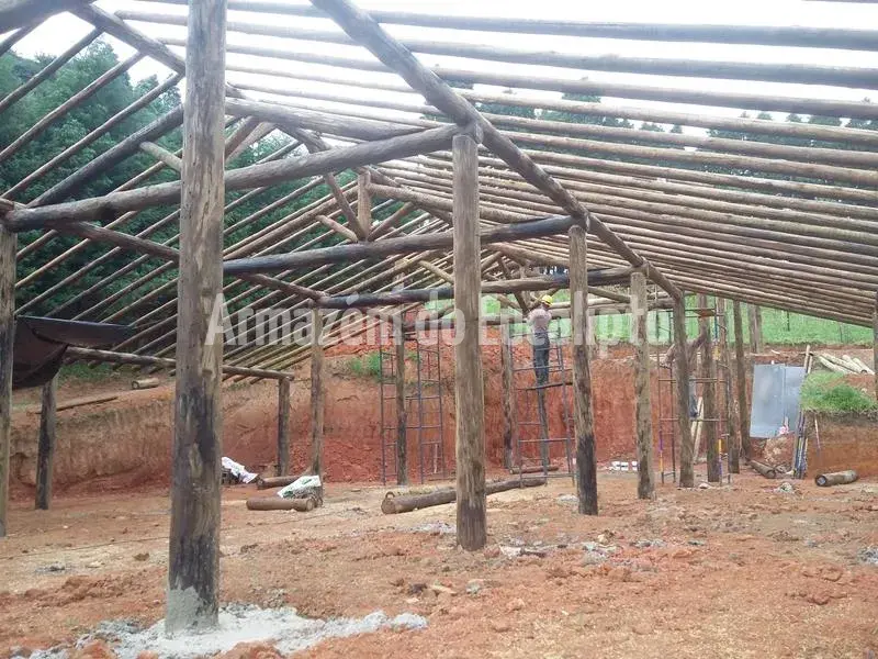 Estruturas de Eucalipto Tratado — foto 107