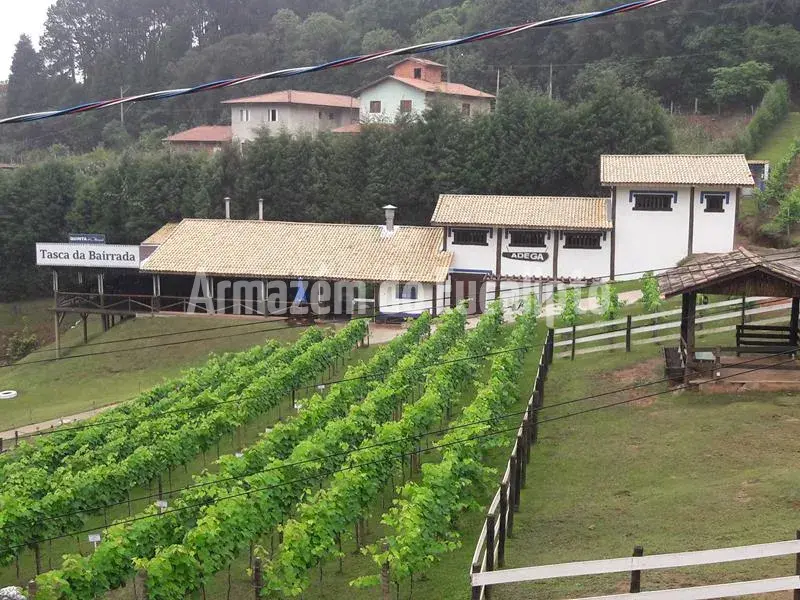 Estruturas de Eucalipto Tratado — foto 110