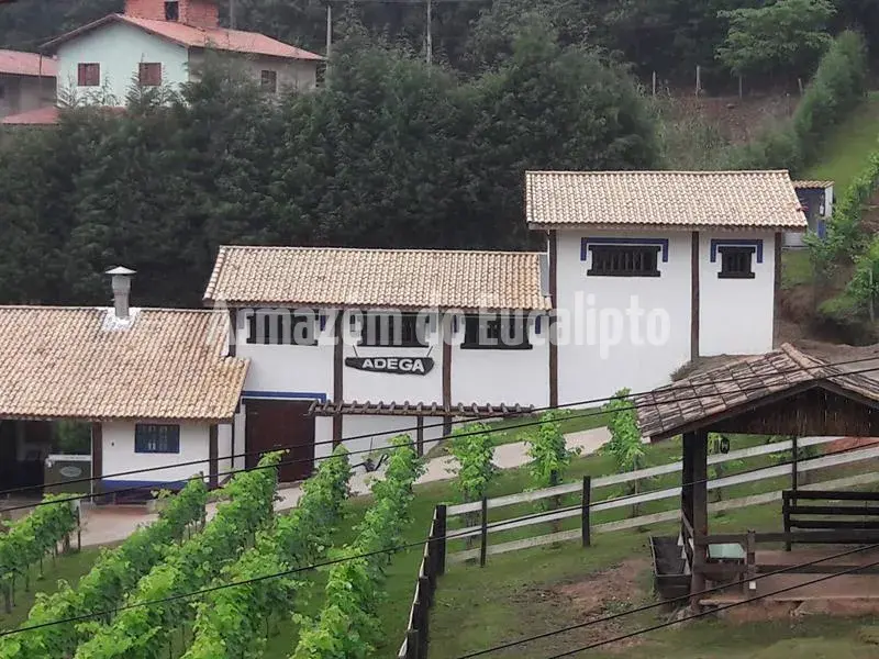 Estruturas de Eucalipto Tratado — foto 111