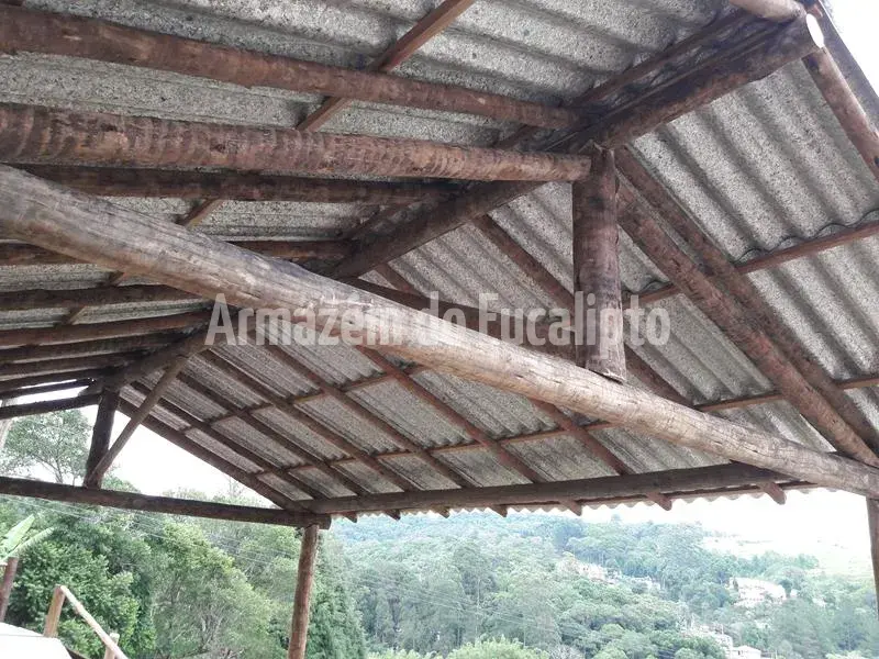 Estruturas de Eucalipto Tratado — foto 114