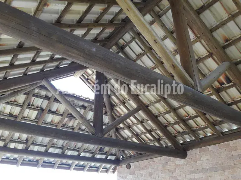 Estruturas de Eucalipto Tratado — foto 120