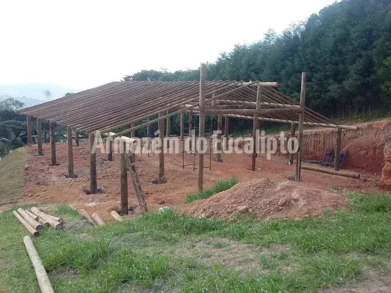 Estruturas de Eucalipto Tratado — foto 122