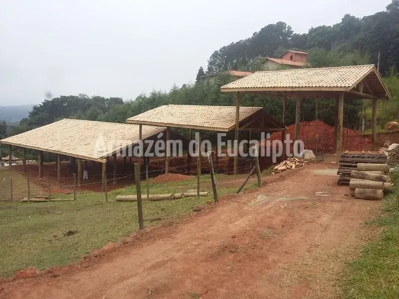 Estruturas de Eucalipto Tratado — foto 123