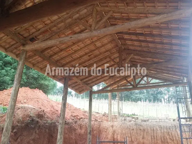 Estruturas de Eucalipto Tratado — foto 124