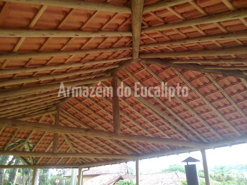 Estruturas de Eucalipto Tratado — foto 127