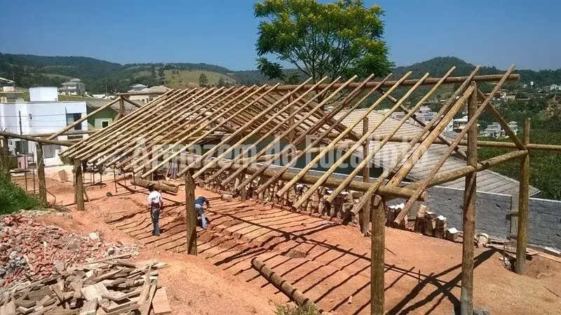 Estruturas de Eucalipto Tratado — foto 131