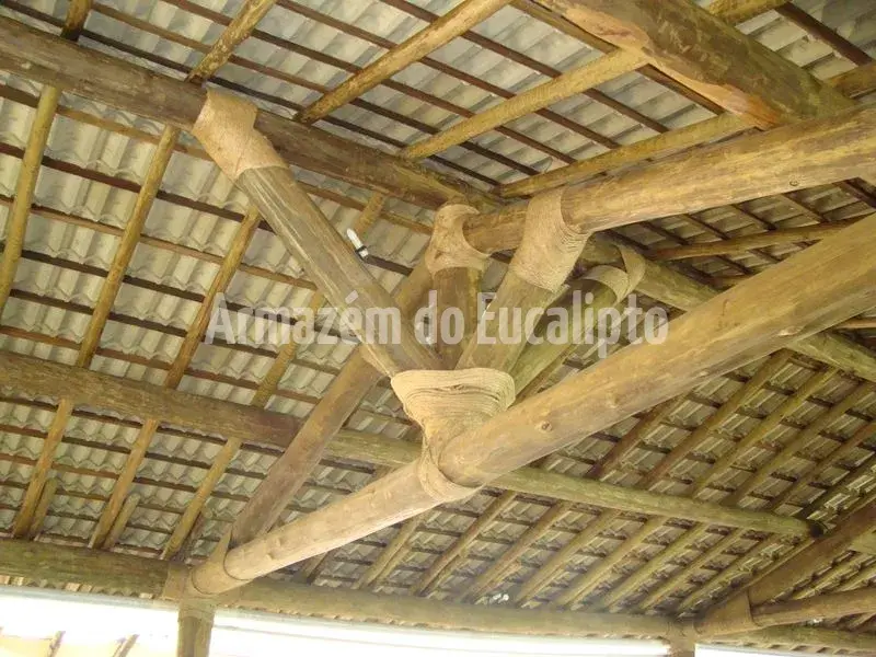 Estruturas de Eucalipto Tratado — foto 135