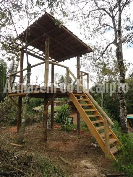 Estruturas de Eucalipto Tratado — foto 136