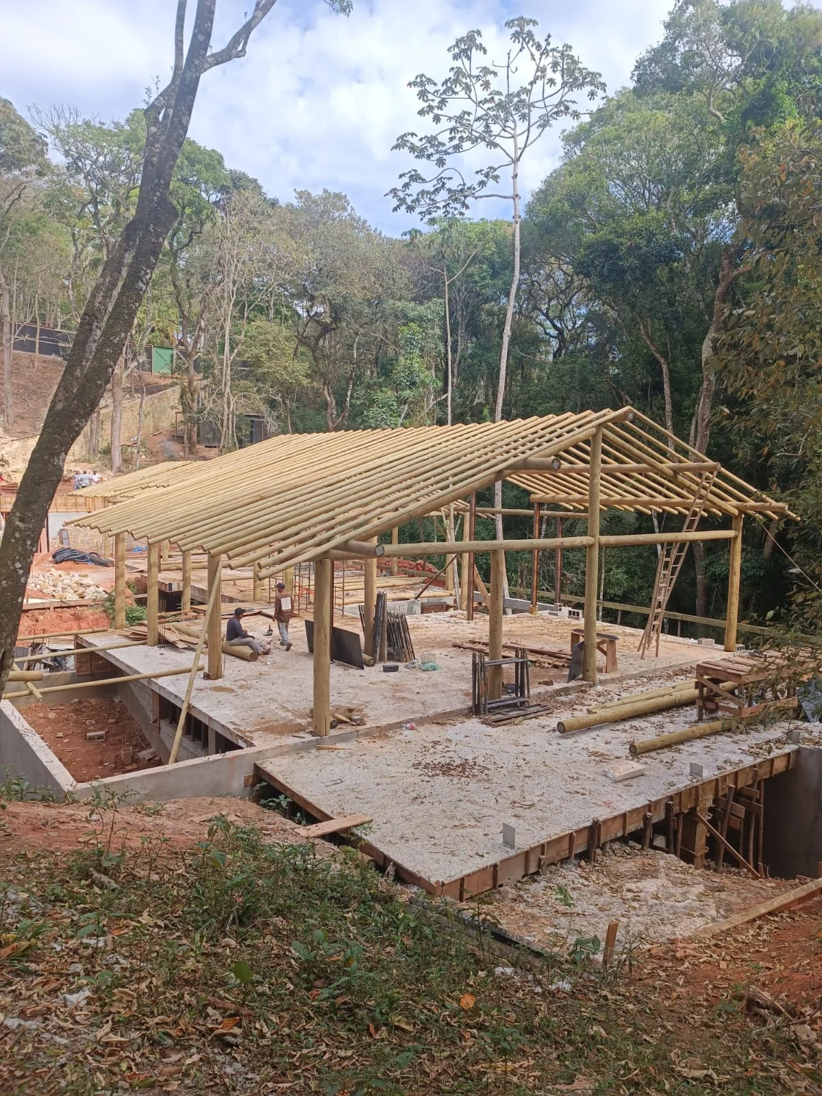 Estruturas de Eucalipto Tratado — foto 1