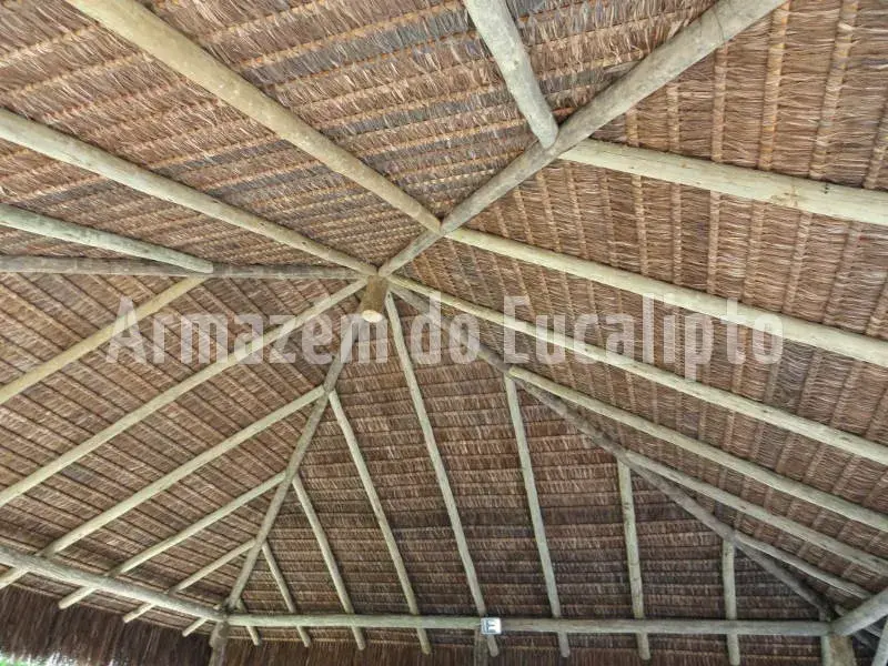 Quiosques em Eucalipto Tratado — foto 1