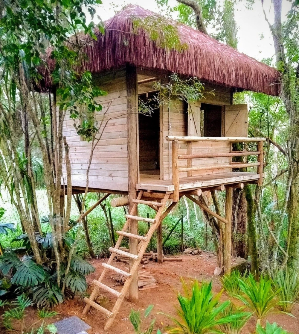 A Perfeita Combinação Entre Eucalipto E Pinus Tratados