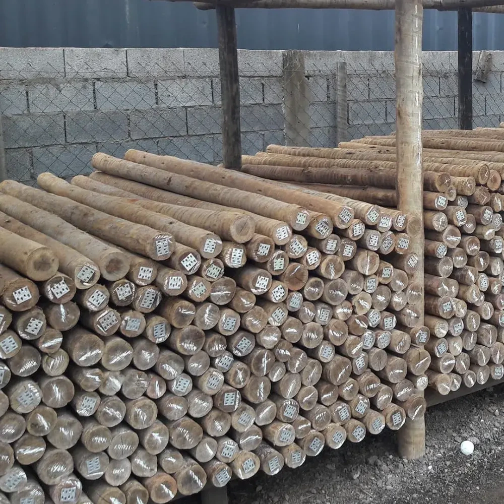 Mourão Eucalipto Tratado 3,00m (Ø 8-10cm)