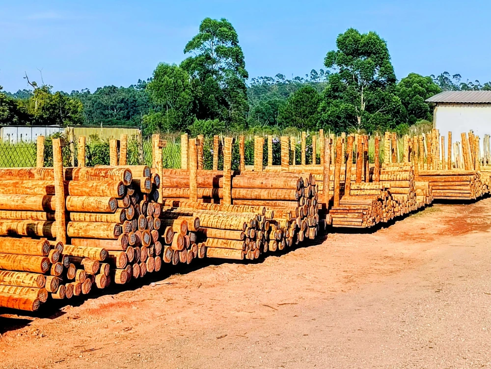 Postes De Eucalipto Tratado - Madeira Tratada de Alta Qualidade
