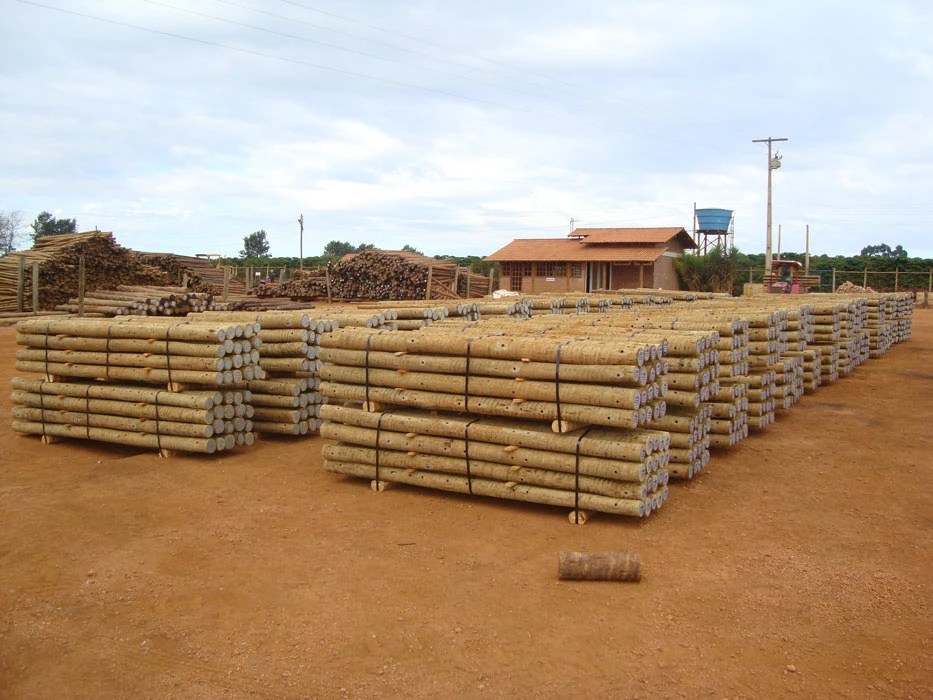 O Preço Do Eucalipto Tratado - Madeira Tratada de Alta Qualidade