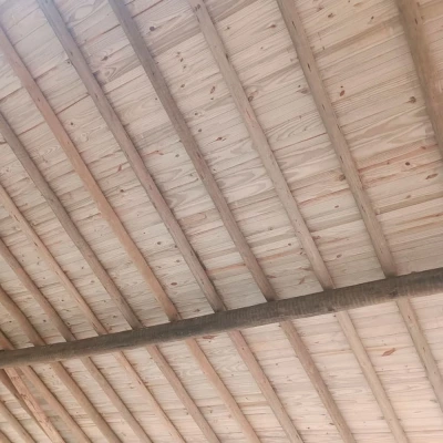 Forro de Pinus Tratado 11,5cm em Fardo