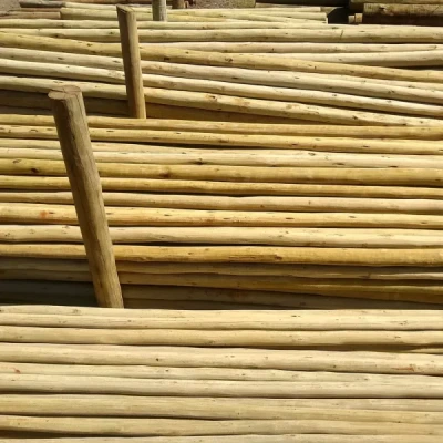 Mourão de Eucalipto Lixado Tratado 10-12cm com 7,00m de comprimento