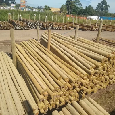 Mourão Eucalipto Lixado 8,00m (Ø 10-12cm)