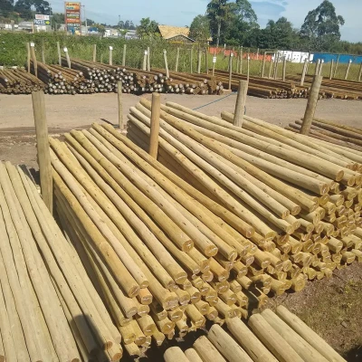 Mourão de Eucalipto Lixado Tratado 14-16cm com 5,00m de comprimento