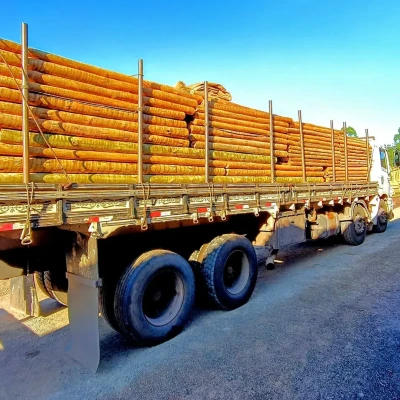 Mourão de Eucalipto Tratado 6-8cm com 3,00m de comprimento