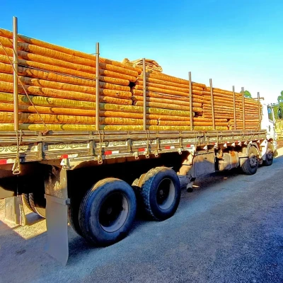 Mourão de Eucalipto Tratado 8-10cm com 3,00m de comprimento