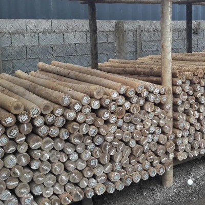 Mourão Eucalipto Tratado 3,00m (Ø 8-10cm)