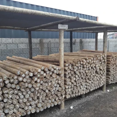 Mourão Eucalipto Tratado 7,00m (Ø 8-10cm)