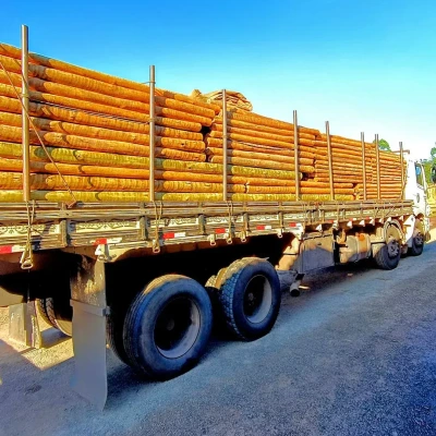 Mourão de Eucalipto Tratado 12-14cm com 8,00m de comprimento