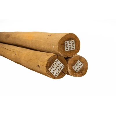 Poste de Eucalipto Lixado Tratado 18-20cm com 4,00m de comprimento