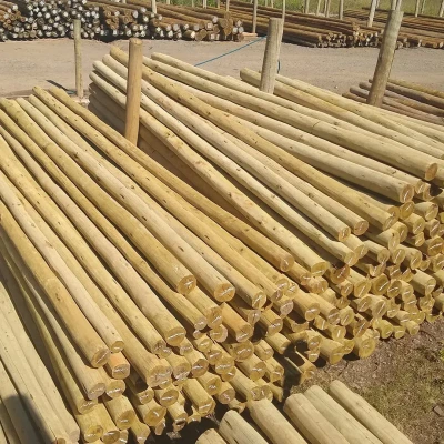 Postinho Eucalipto Lixado 2,50m (Ø 4-6cm)