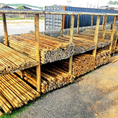 Postinho de Eucalipto Tratado 4-6cm com 4,00m