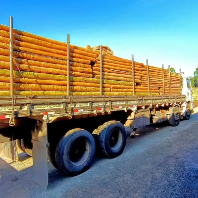 Postinho de Eucalipto Tratado 4-6cm com 4,00m