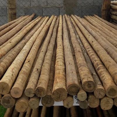 Postinho Eucalipto Tratado 4,00m (Ø 4-6cm)