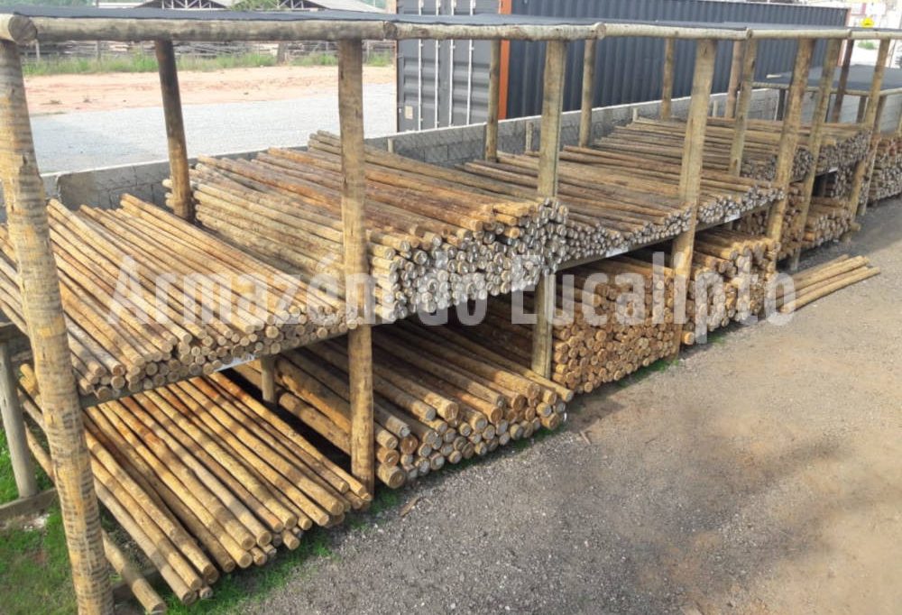 Estoque de madeira tratada de eucalipto — Armazém do Eucalipto