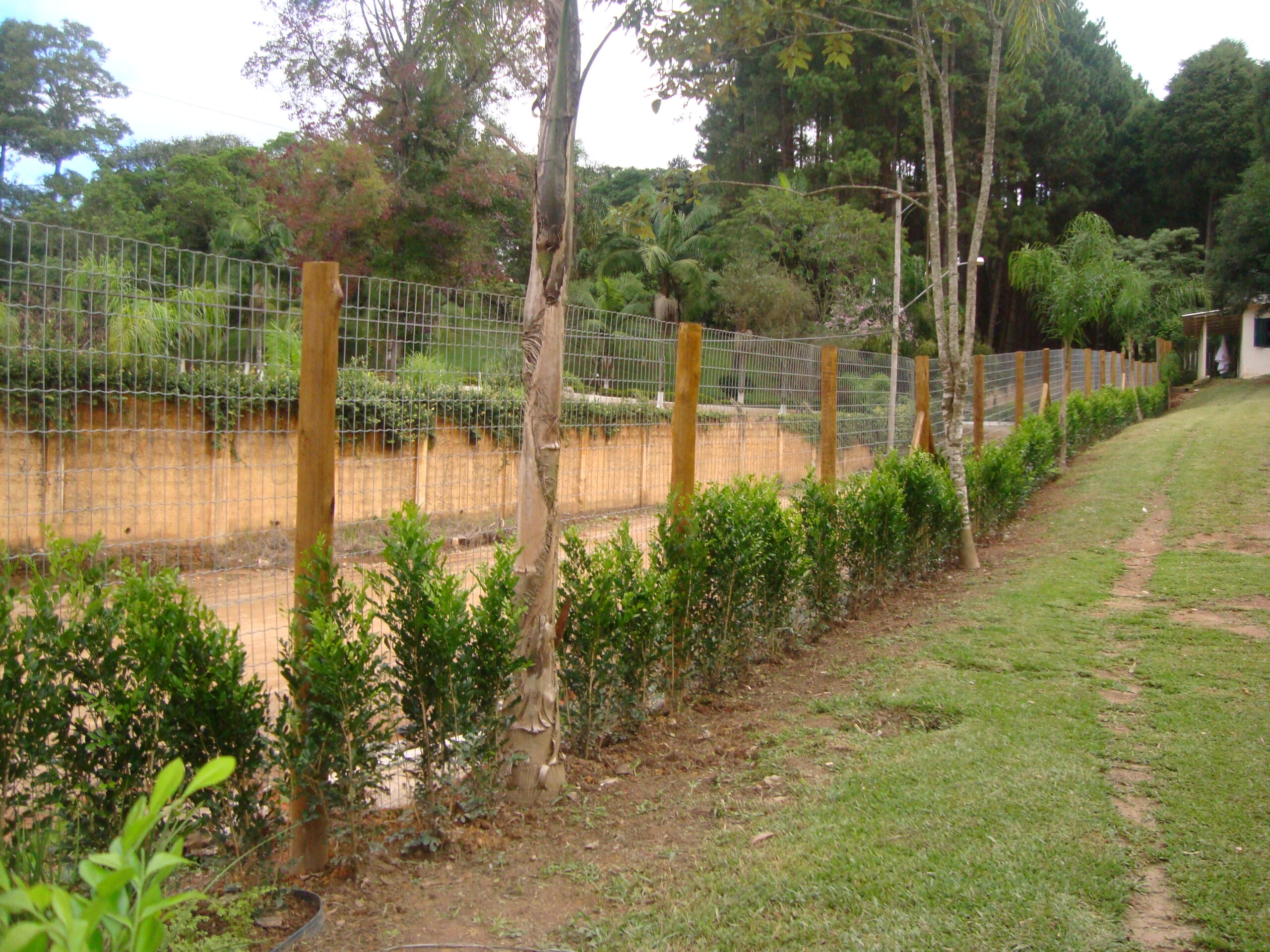 Alambrado com mourões de eucalipto tratado e tela de alta resistência