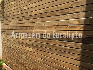 Pinus Tratado - Armazém do Eucalipto